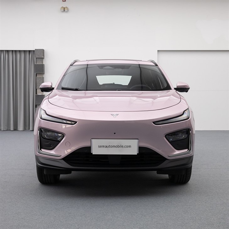 Neta X electric SUV