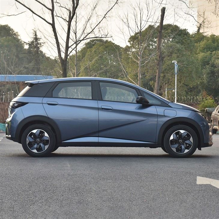 BYD Dolphin honor 420km ev minicar