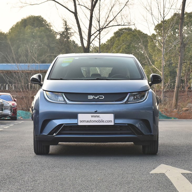 BYD Dolphin Electric Hatchback 420km