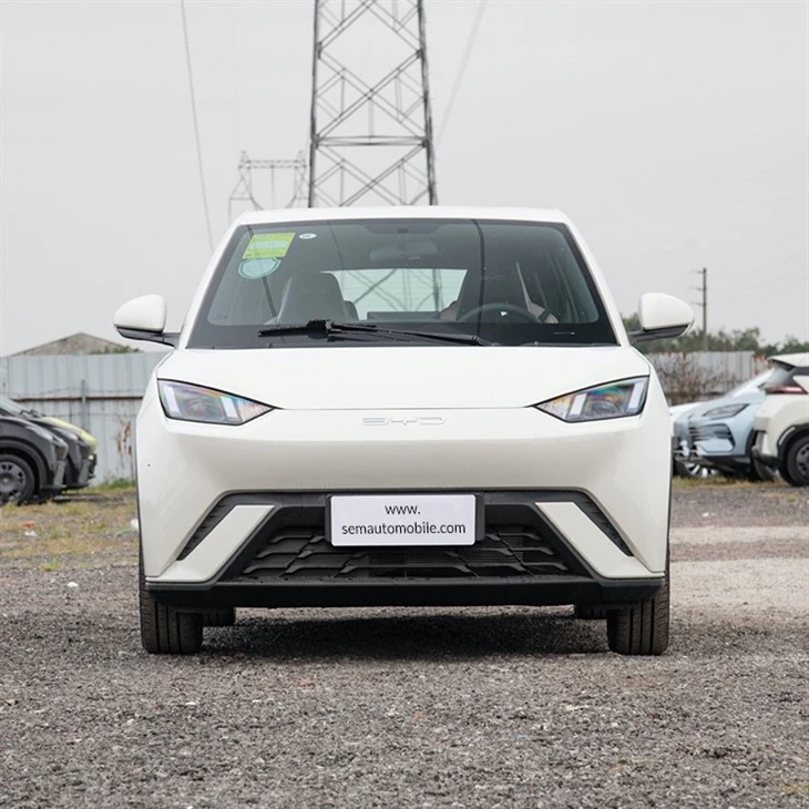 BYD Seagull Mini Ev 305km