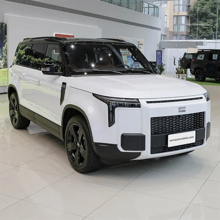 ROX JISHI 01 6-Seat SUV factory