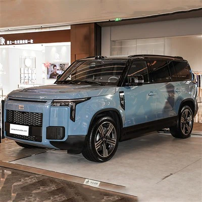 2024 روكس جيشي 01 EREV SUV