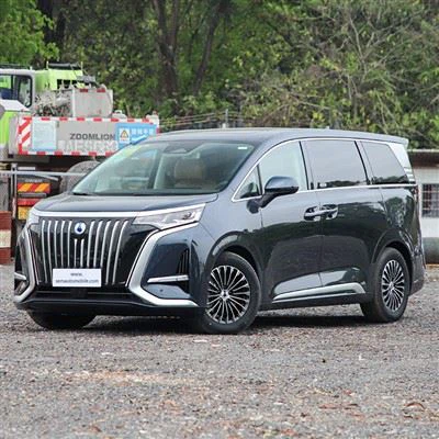 Denza D٪7b٪7b0٪7d٪7dWD EV MPV