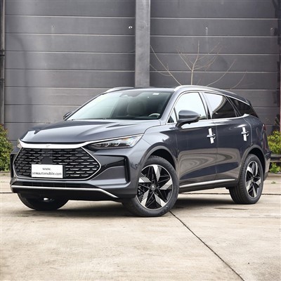 بي واي دي تانغ شامبيون EV 2024
